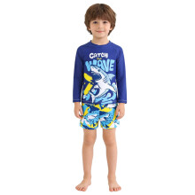 Boy Swimsuit,Swim Set Long Sleeve Cartoon Print Rash Guard Shorts Clothing Kids Swimwear for Pool Beach Summer,Toddler Swimsuit Boy,Blue,2-3 Years
