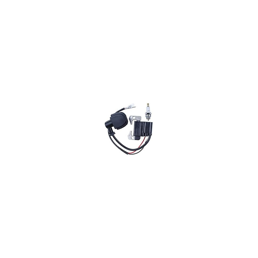 Ignition Coil And Spark Plug Kit For Robin Brushcutters 908436181907