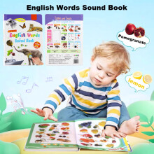 English Words Audiobook Toy for Ages 3-6 – 300+ Words, 13