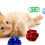 Cat Spring Toy Crinkle Balls Set 5 pcs 6