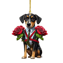 Crochta Aicrileach Rós Madra Cartúin 1pc