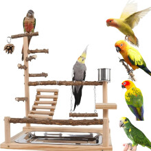 Aire de jeux en bois pour perroquets avec mangeoires pour petits oiseaux