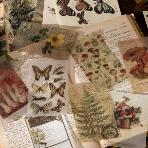 Junk Journal Stickers Creatieve Kunst Ontwerp Doos Stijl5 1