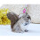 Squirrelmo artificiale, ornamento decorativo da giardino, giocattolo 2
