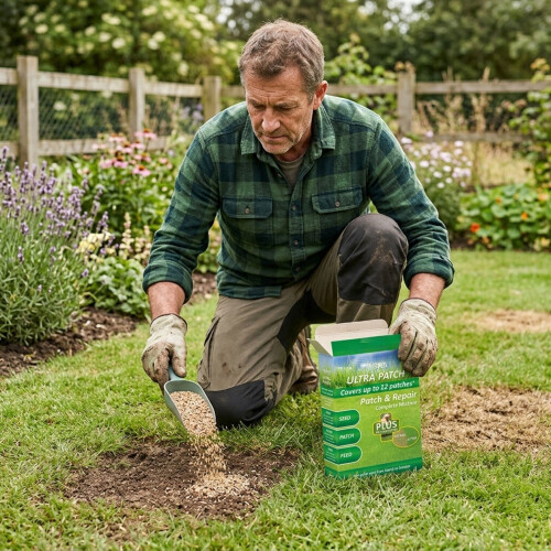 Seed Ultra Patch 200g Lawn Repair Grass Seed Patch & Feed 2
