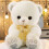 Teddy Bear Plush Toy Polyester Sitting Doll 1 Piece 1