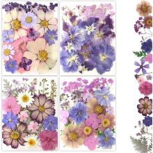 Natural Pressed Flowers Kit for Resin and Crafts 80 pcs