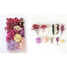 Kit de loisirs créatifs avec fleurs séchées naturelles (12 pièces)