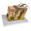 Skin Model Medical Teaching Tool 50X Enlarged 7