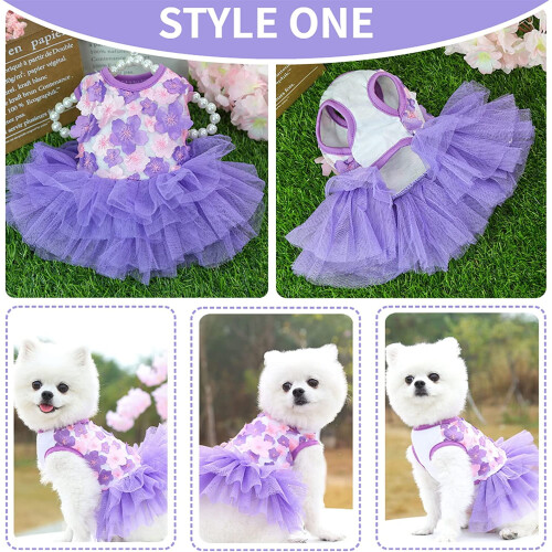 Robe pour petites chiennes, jupe tutu en dentelle 2