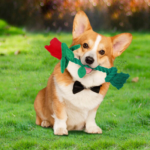 Rose Flower Dog Toy for Small Breeds Chew and Interactive 1
