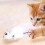 Down Simulation Mouse Toy for Cats Wind-Up Flocking 1 Piece 1