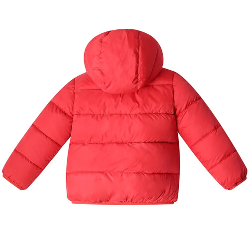 Χειμερινό μπουφάν με κουκούλα για νήπια 2-3 ετών 1