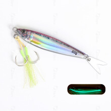 Luminous Fishing Jigs 40g 60g 80g with Spoon and Hooks