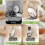 Ράφι αποθήκευσης για κατσαρόλες κουζίνας με καπάκι, δίσκο συλλογής υγρών και 3