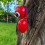 Metallene rote Ameisen-Gartenskulptur, Außendekoration 7