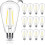 ST19Edison lampen 400LM 4W 5000K E26 fitting 12-pack 1