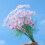 Bouquet di margherite artificiali, 10 pezzi 6