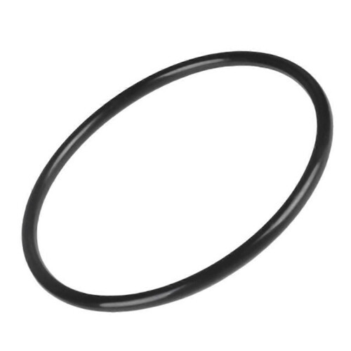 Hayward SwimClear C100S C150S C200S filterhode o-ring