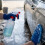 500Mlx5 Packs Plastic Trigger Spray Bottles 16 Oz Foaming Cleaning Commercial Sprayers 2