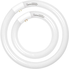 Ampoules circulaires FC8T9 22W et FC12T9 32W, 6500K, 20 cm (8 pouces)