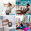 Mini stolní ventilátor s LED světlem, 3 rychlosti, 4,9 palce, černý 4