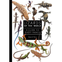 Lizards of the World