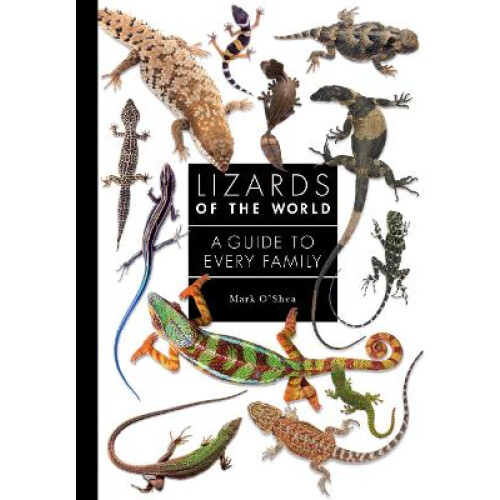 Lizards of the World
