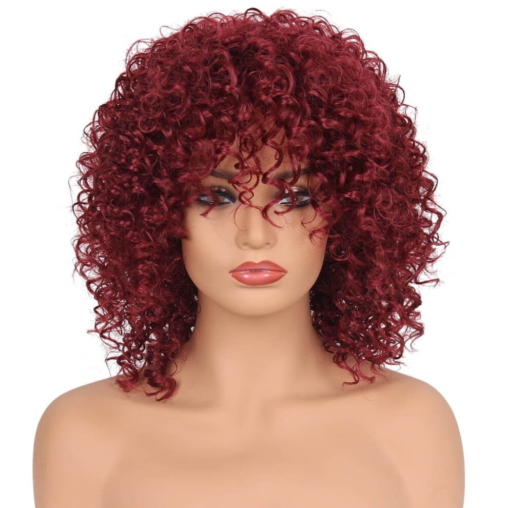 Human Hair Wig for Women Black Curly Short Kinky Lace Front