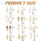 DESIGNICE Alloy Leaf Dangle Earrings for Women 12-Pair 2