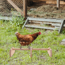 Wooden Chicken Roosting Bar for Hens and Roosters 2 pcs