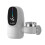 Mini Instant Water Heater 3000W 220V/110V 2