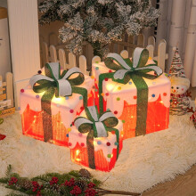 Ensemble de 3 boîtes lumineuses de Noël à LED pour décoration extérieure