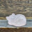 Shishian quartz crystal sleeping cat statue 2 inch 1