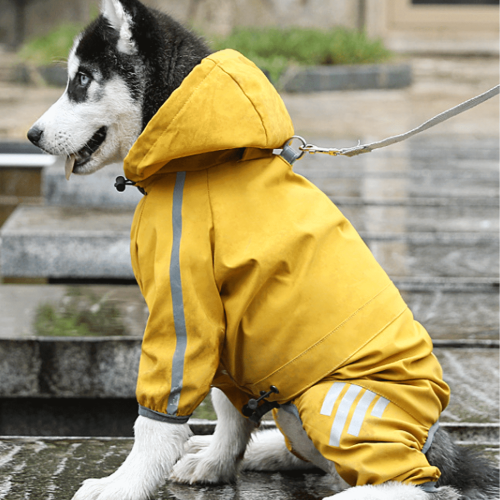 Impermeabile per cani rosa, leggero, taglia M 2