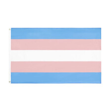 Bandeira do Orgulho Transgênero em Poliéster, 90x150cm