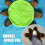 Turtle Foot Mop Pad Hands-Free Washable Soft Sponge L 4