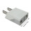 White European to American Plug Adapter 2 Pack 2