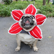 Cappello da Demogorgone per Animali Domestici, Costume da Fiore Spaventoso per Cani e Gatti