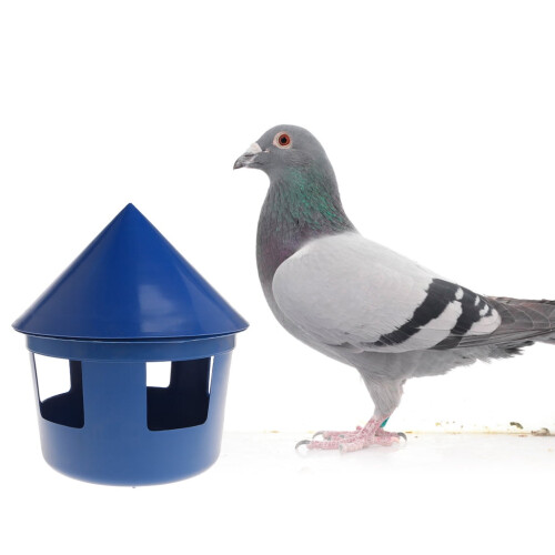 Pigeon feeder automatic no-waste poultry dispenser with 1