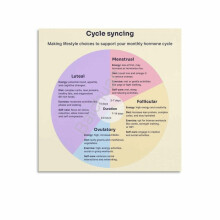 Menstruasjonssyklus og hormondiagram Kvinners helseplakat