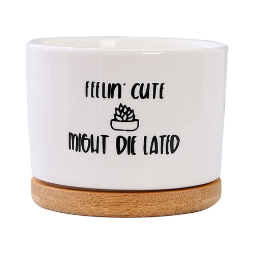 Vaso de bonsai de cerâmica com prato de drenagem de 11,4 cm (4,5 polegadas)