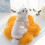 Hundefleecepyjamas Ensfarvede Overalls Small Medium Hvid 1