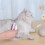 Cat Brush Portable Gentle Flea Removal Comb 3