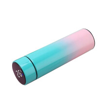 Bouteille isotherme 500 ml (16,7 oz) avec affichage intelligent de la température