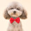 Hundetilbehør assorterede farver 10 stk. 2