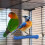 Bird Perch Standing Rod for Claw Sharpening 6