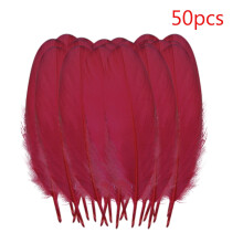 Plumas coloridas para casamento e artesanato DIY - 50 peças