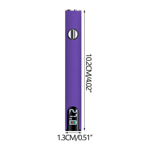 USB-C-Stecker mit 650 mAh 2