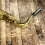 Altsaxofoonrietjes van professionele kwaliteit, 10 stuks 6